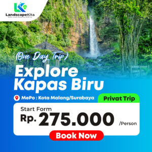 PAKET WISATA KAPAS BIRU